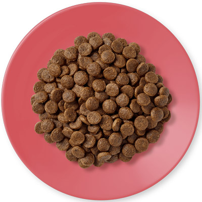 Applaws Adult Chicken with Duck granule foto